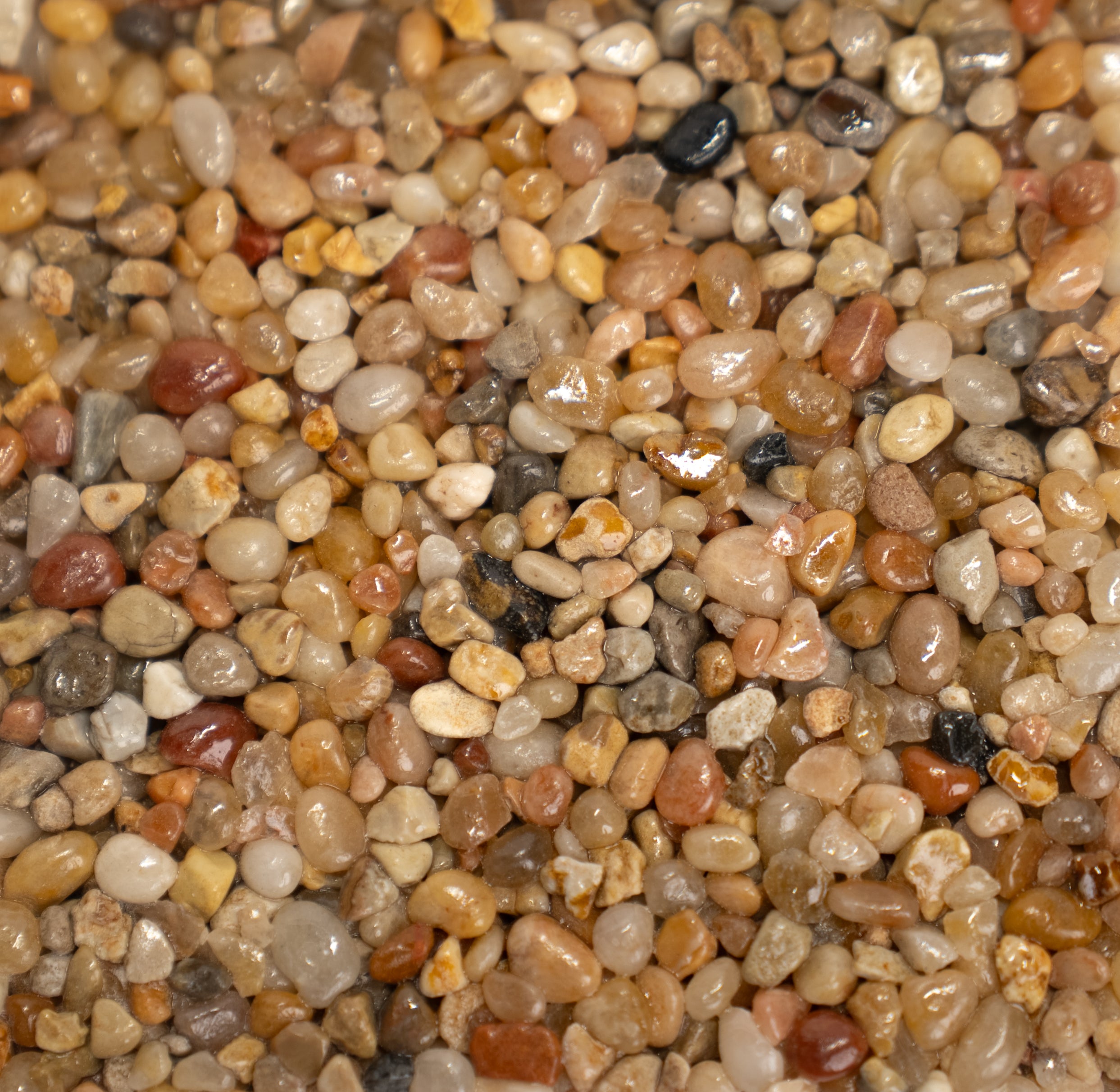 Close-up of multicolored pebbles with a gradient effect