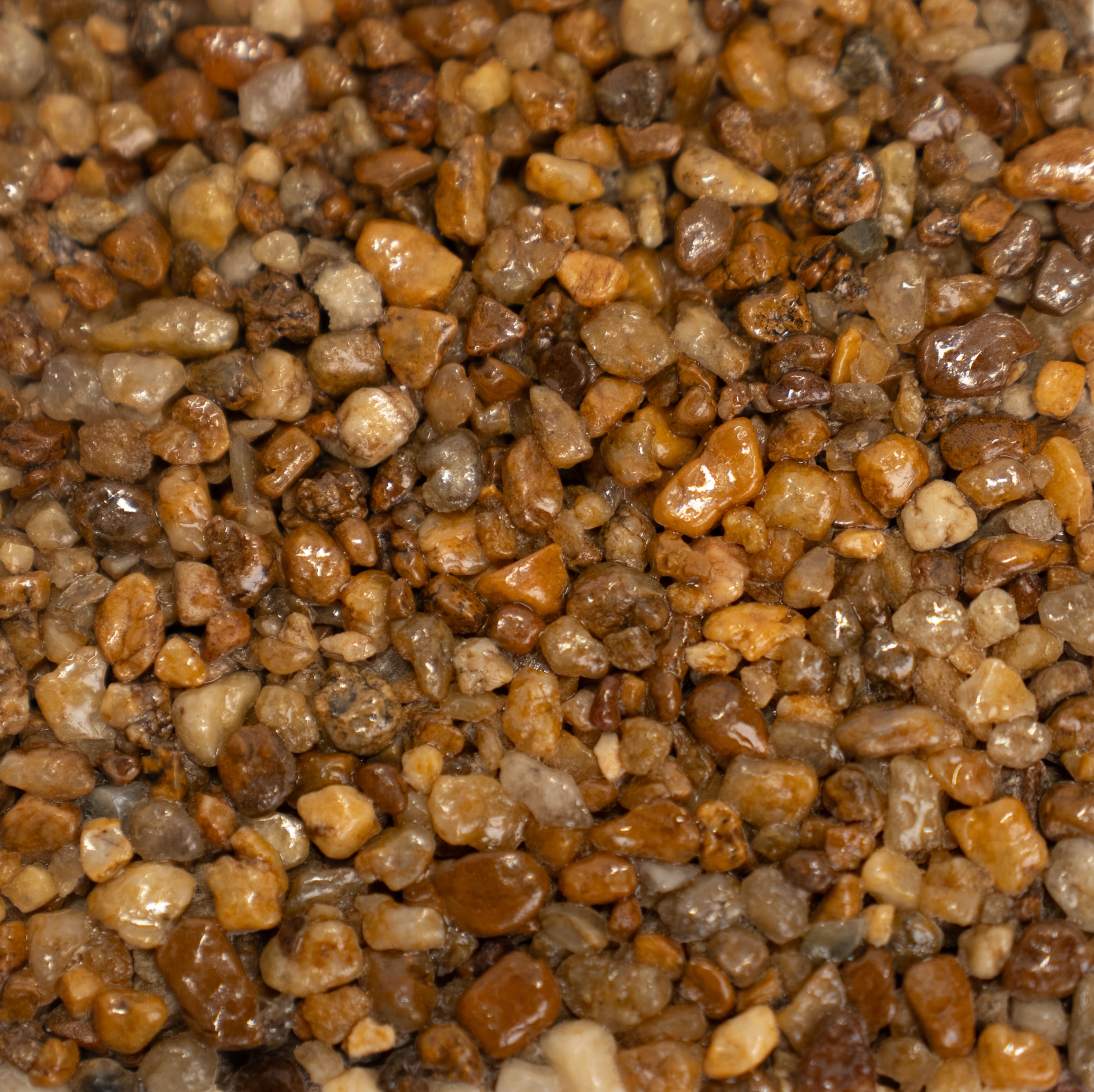 Close up image of small tan, beige and darker reddish brown stones.