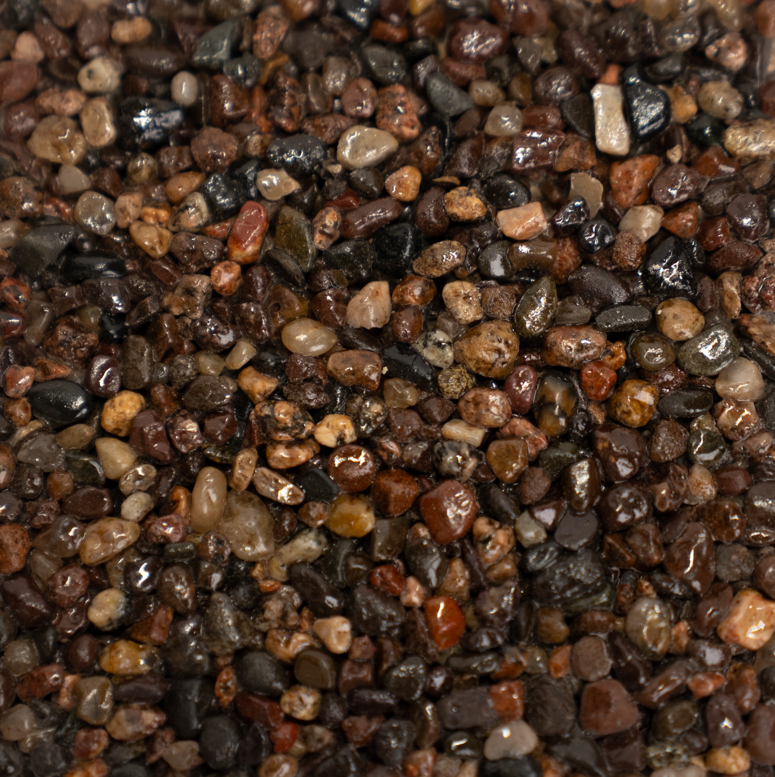 Close-up of multicolored pebbles from reddish brown, with hints of orange, to deep grays with speckles of light brownish grays. 