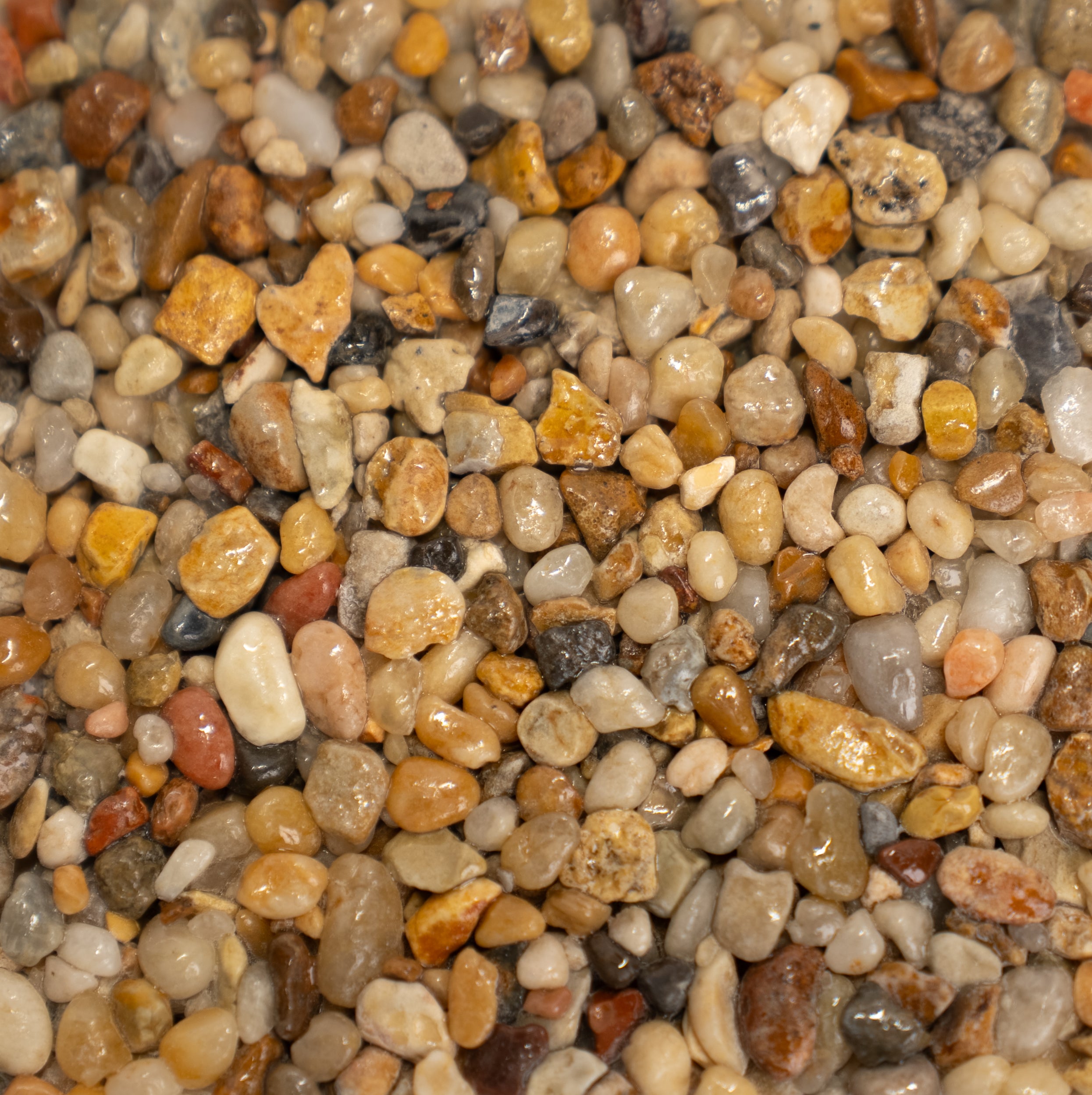 Close-up of multicolored pebbles with various shades of brown, gray, and beige.